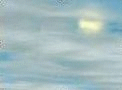 Forecast icon