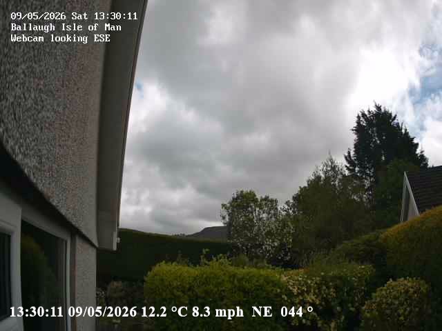 Daily Webcam