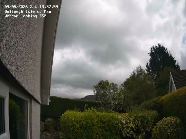 Daily Webcam